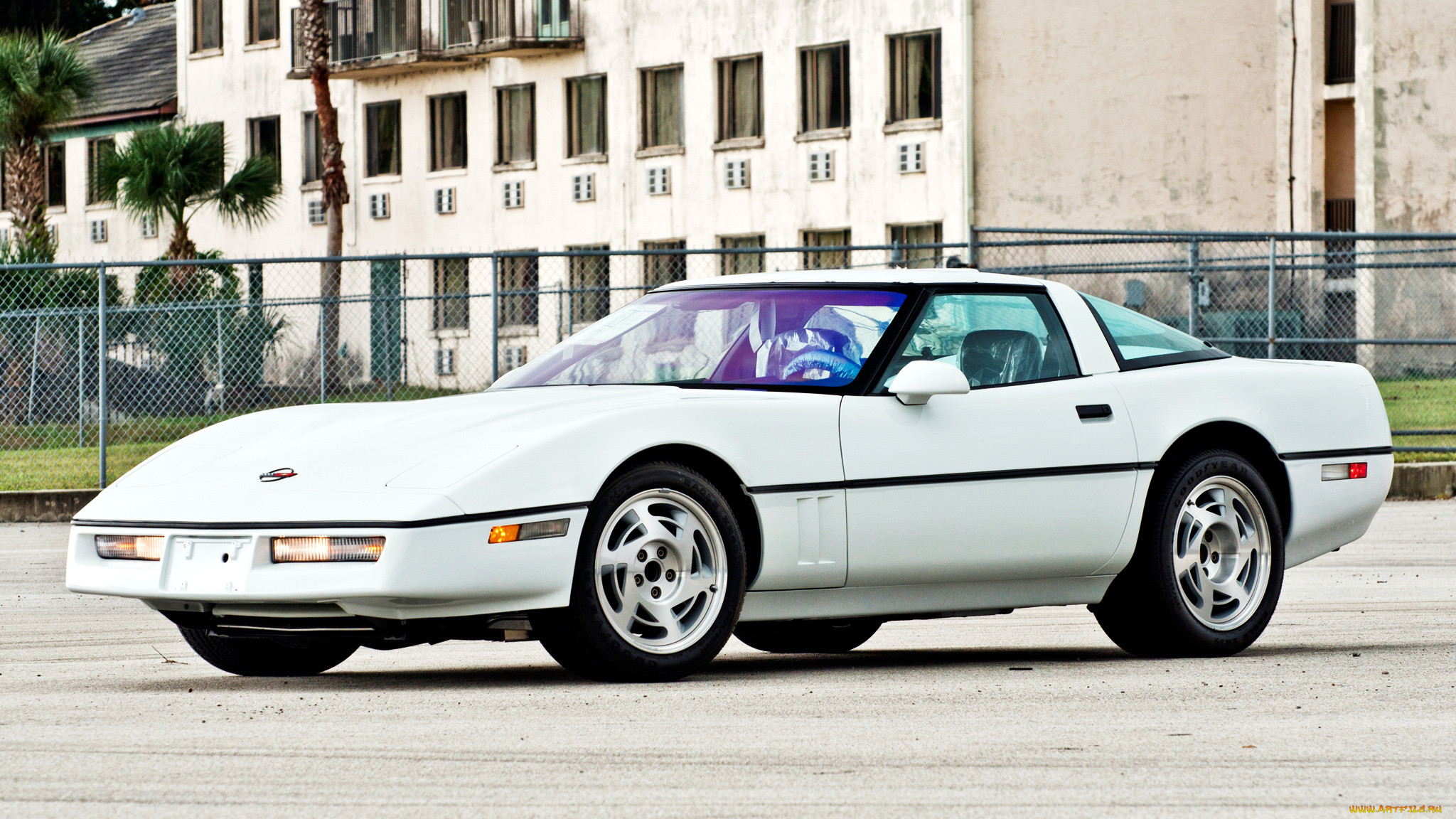 chevrolet corvette, , corvette, general, , chevrolet, , motors
